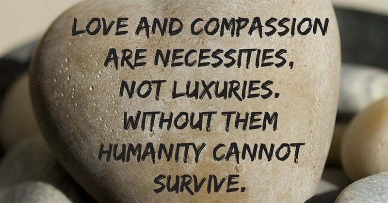 The Compassionate Activist Toolkit: the Ultimate Guide to Love-Centered Activism