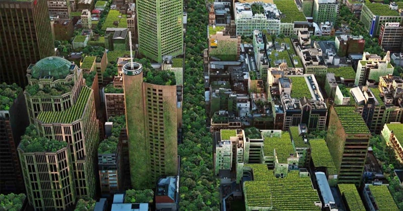 Changing the Way We Think About Ecocities