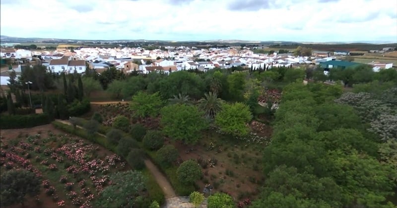 Welcome to Marinaleda: The Spanish Anti-Capitalist Town With Equal Wage Full Employment and $19 Housing