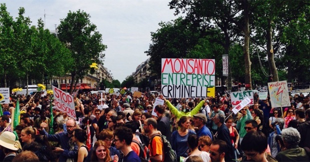 Activists, Farmers, Indigenous People Rise up to March Against Monsanto