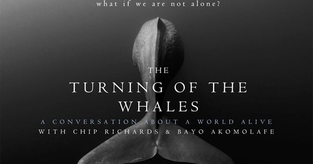 The Turning of the Whales: What If We Are Not Alone? What If the 'Others' Have Been Here All Along?
