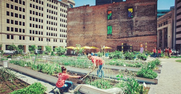 From Floating Food Forests to Vacant Lot Crops, Urban Farming Is Taking Root Across America