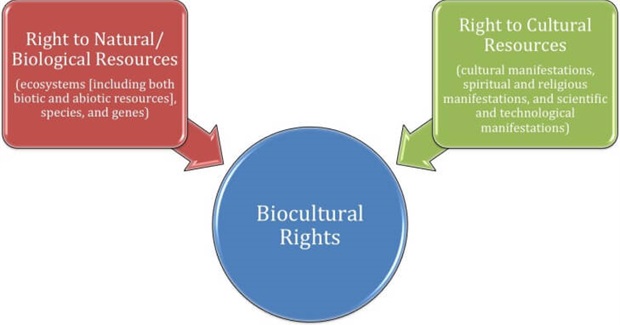 Biocultural Rights: A New Paradigm for Protecting Natural and Cultural Resources of Indigenous Communities