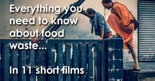 Everything You Need to Know About Food Waste... In 11 Short Films