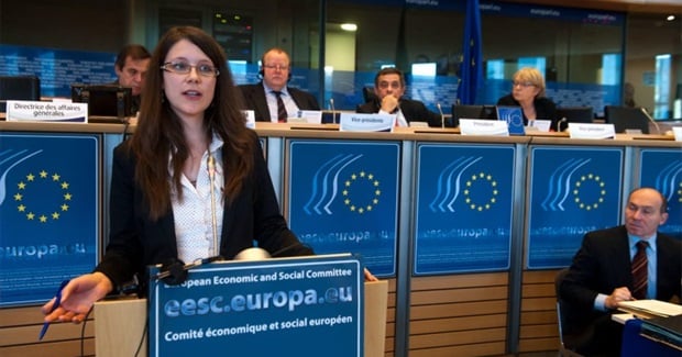 Interest in Ending Ecocide by the European Economic and Social Committee