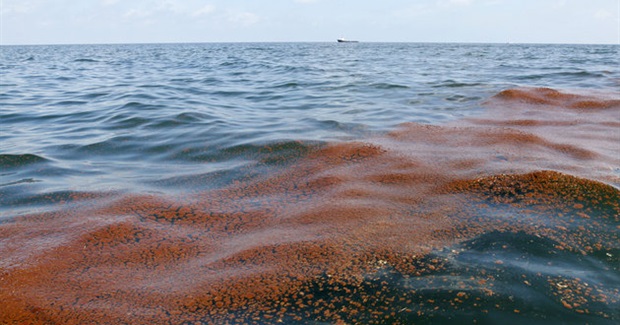 'Status Quo': Shell Spews Nearly 90,000 Gallons of Oil Into Gulf of Mexico in Latest Spill
