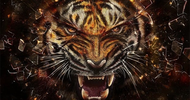 Invalidation - Waking The Tiger