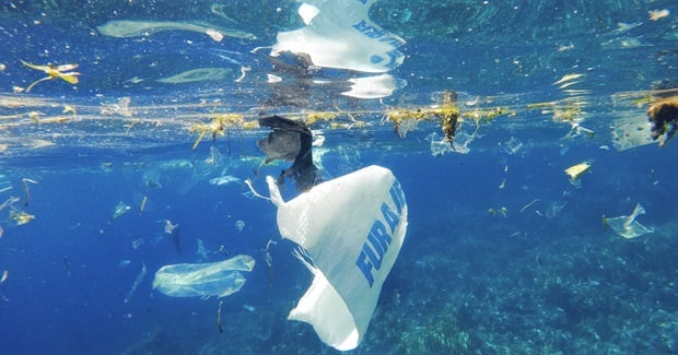New Documentary Helping Us See The Invisible Crisis of Plastic in Oceans