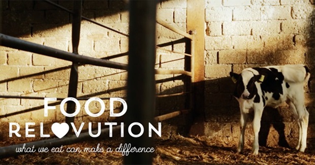 Food ReLOVution: What we eat can make a difference. Help Support the Film's Indiegogo Crowdfunding Campaign
