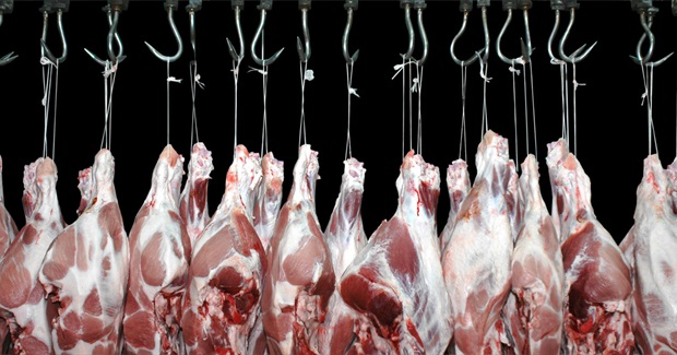 Five Ways the Meat on Your Plate Is Killing the Planet