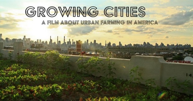 MOVIE NIGHT: Growing Cities