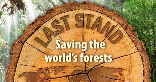 Last Stand - Our Last Ancient Forests Are Under Assault