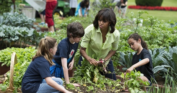 Can Green Spaces at Schools Make Children smarter?