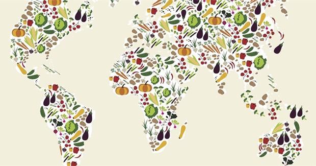 Going Veggie Would Cut Global Food Emissions by Two Thirds and Save Millions of Lives - New Study