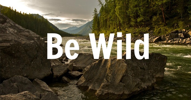 10 Reasons to Embrace Wildness