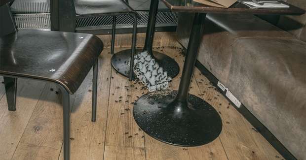 We Watched Angry Activists Release Thousands of Bugs in a Busy London Restaurant