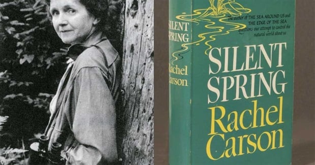 Why Aren't We Teaching Rachel Carson in Schools?