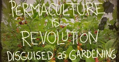 Permaculture: A Quiet Revolution (2008)