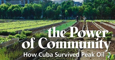 The Power of Community: How Cuba Survived Peak Oil (2006)