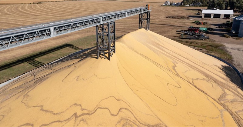 This Thanksgiving, Let’s Feed Families, Not Factory Farms