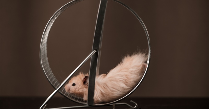 The Hedonic Treadmill and How to Get Off