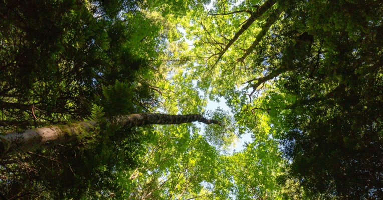 Let’s Talk About Communism