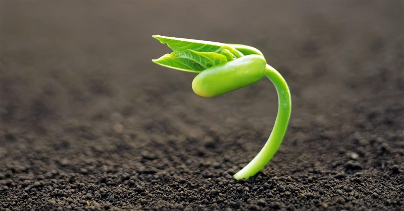 "the quiet revolution"