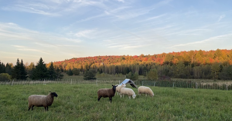 Designing Land Access With Deep Time in Mind: Moving Toward a Timeless Ethic of Land Stewardship