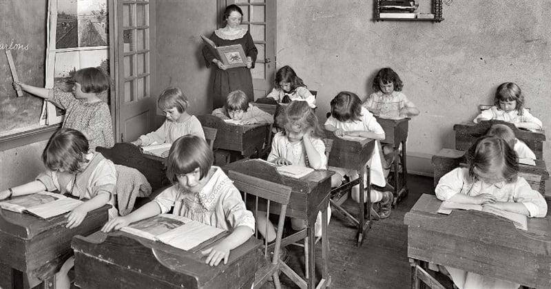 Modern Schools Stole Our Common Sense—Here's How We Take It Back