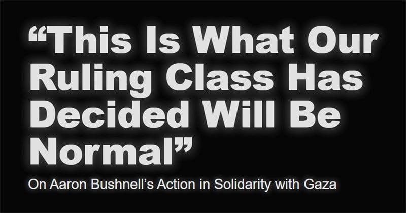 “This Is What Our Ruling Class Has Decided Will Be Normal” On Aaron Bushnell’s Action in Solidarity with Gaza