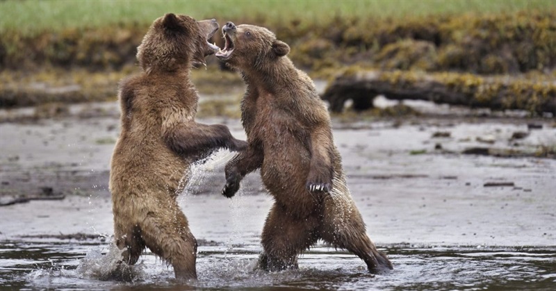 Here’s a Better Way to Argue about Climate Change