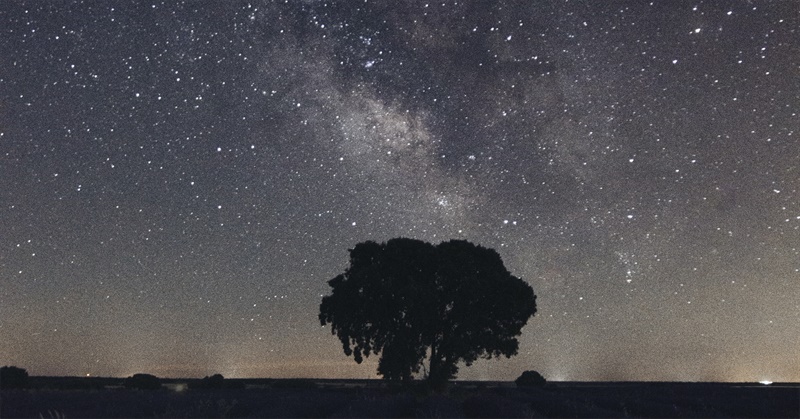 Finance Capitalism Versus Industrial Capitalism: the Rentier Resurgence and Takeover | Michael Hudson