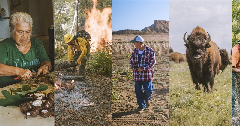 How “Inhabitants” Helps Us Remember the Knowledge That Sustains Life