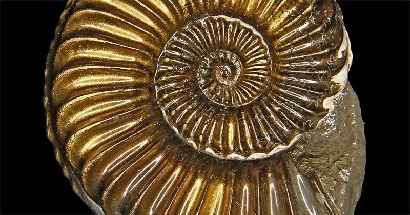 The Story of B by Daniel Quinn: An Overview of Key Lessons