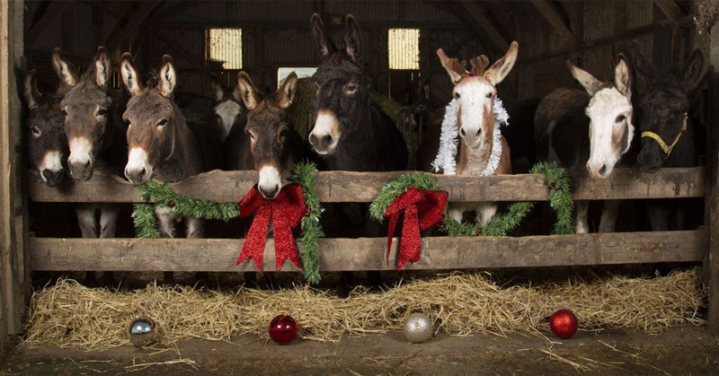 Winning in Places Where the Democratic Party Is Dead