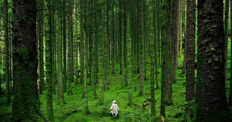 Reconnecting With a Life Dream, a Very Personal Recount