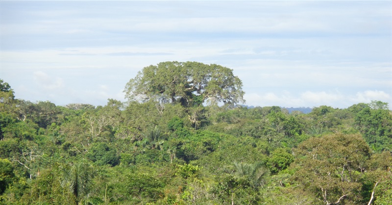 Towards a Third Opinion on Climate Change – in High Need of a Holistic View