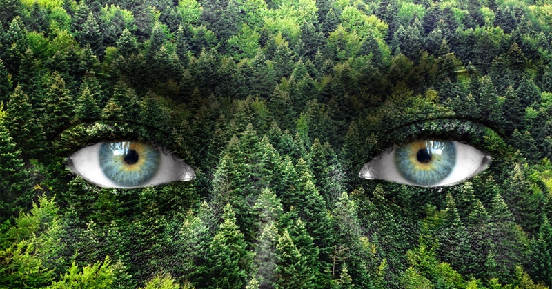 Do You Feel Nature’s Pain?