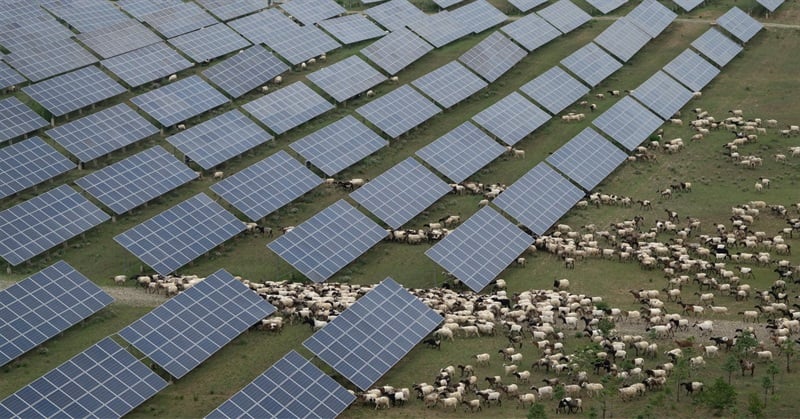 We Can Move Beyond the Capitalist Model and Save the Climate – Here Are the First Three Steps