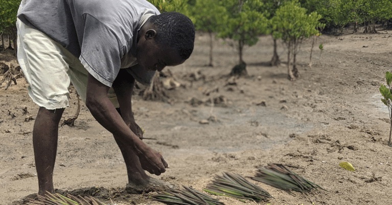 Healing the Earth, One Community at a Time