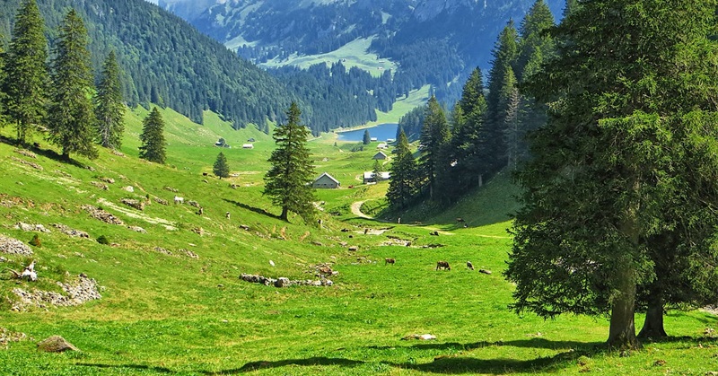 What Is the Commons—And Why Does It Matter Today?