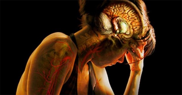 Stress: It's Not in Your Head, It's in Your Nervous System