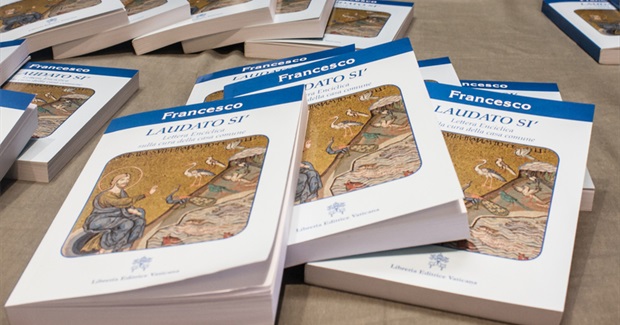 Is Pope Francis an Ecofeminist?