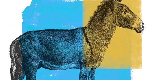 Socialists for Biden and The Power of Corporate Media