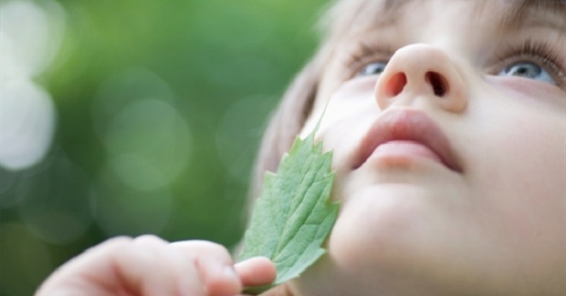 We Know Nature Makes Us Happier. Now Science Says It Makes Us Kinder Too