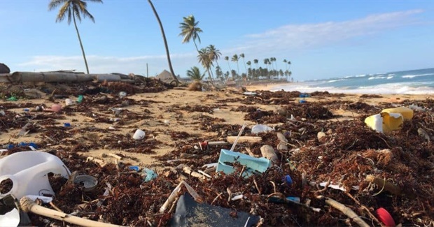 It's Time for Plastic to Go Extinct!