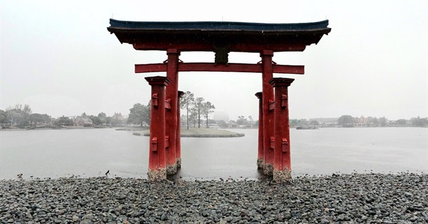 The Edges in the Middle