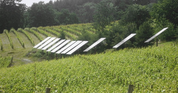 We Need a Plan for the Transition to Renewable Energy