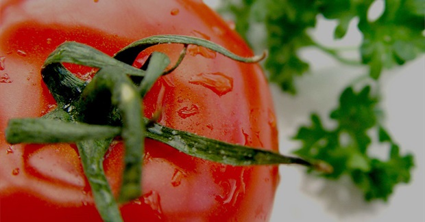 A plant-based diet - good for us and for the planet