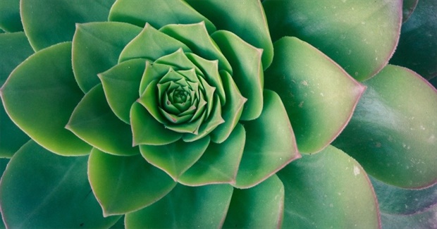 The Vision of Wellbeing Economies
